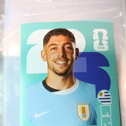Panini FIFA World Cup 2026 sticker like new