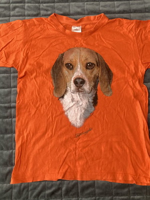 T-shirt children's used, multicolor and orange, sizes 134-140 cm