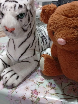 Stuffed animals like new