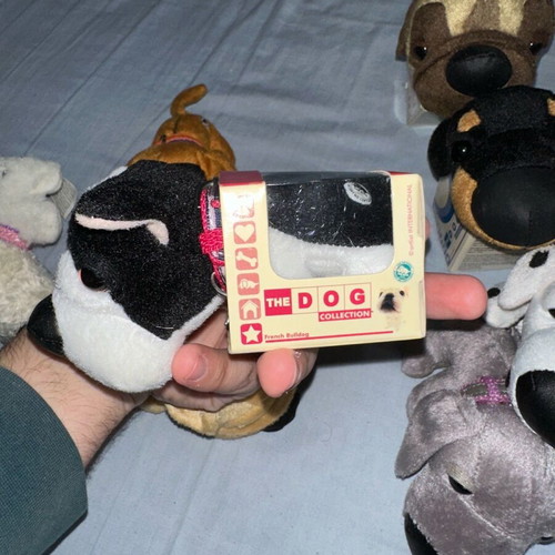 Eaglesmoss dog collection like new