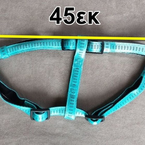 Nobby dog harness new, small-medium, 45-60 cm, leash