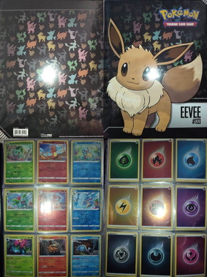 Pokemon Eevee 180-Card Album like new with Holo and Reverse Holo cards