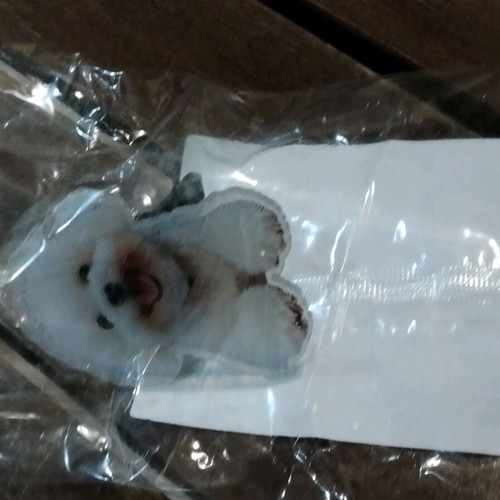 Decorative clip with Bichon Frisé dog new