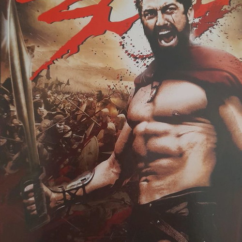 300 DVD used with subtitles