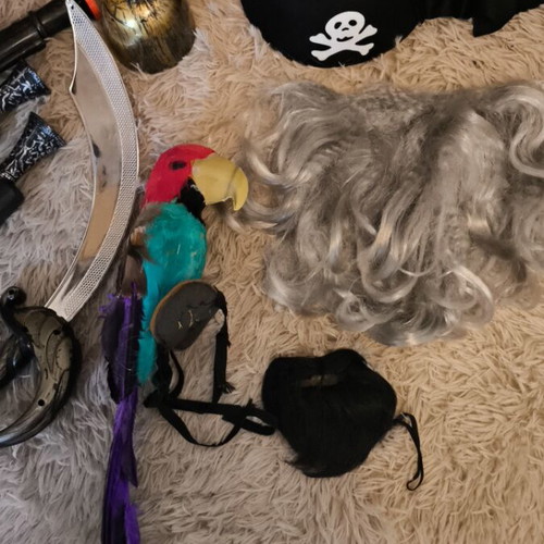 Pirate Accessories Set with Weapons, Sword, Parrot, Beard, Hat & More