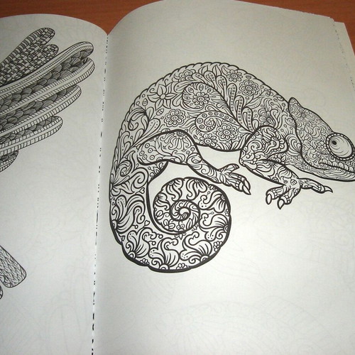Anti-Stress Coloring Book for Children and Adults like new