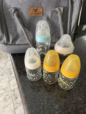 Bag and 5 baby bottles set