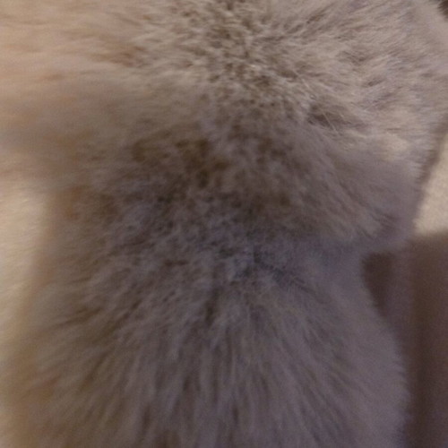 BSB outerwear new cape with fur details beige