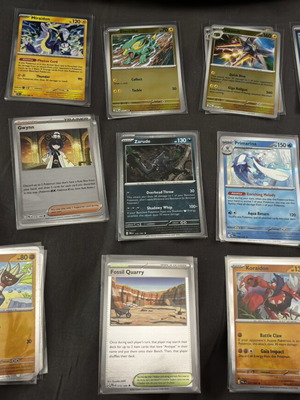 Pokémon Pitch Black card collection, 14 cards