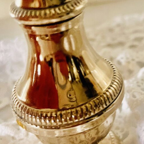 Vintage Silver-Plated Salt Shaker Empire Style like new