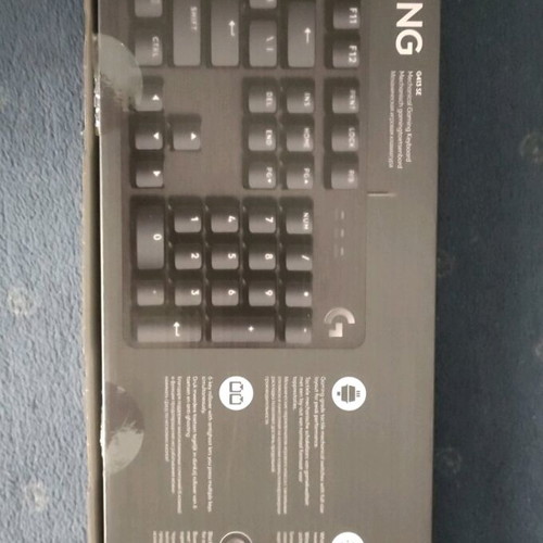 Logitech G413 SE mechanical gaming keyboard used with illuminated US keys