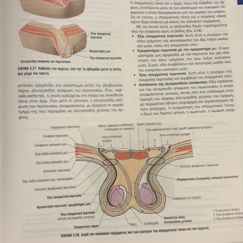Sobotta Anatomy with Color Atlas like new book in Greek