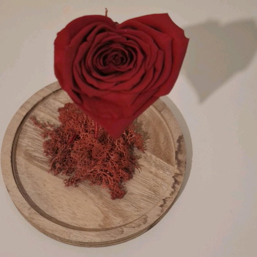 Decorative rose like new, height 19 cm