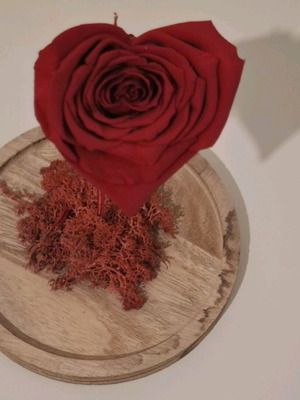 Decorative rose like new, height 19 cm