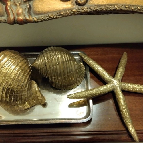 Large seashells and starfish composition like new