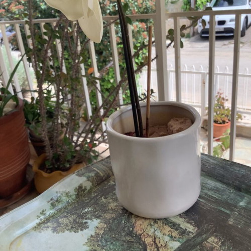 Decorative plastic orchid plant like new