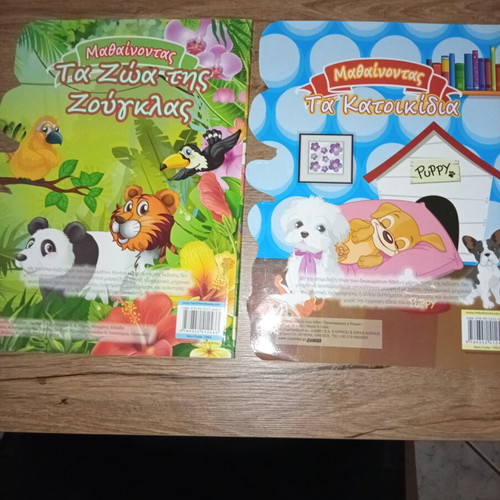 Learning children's books set of 2, like new
