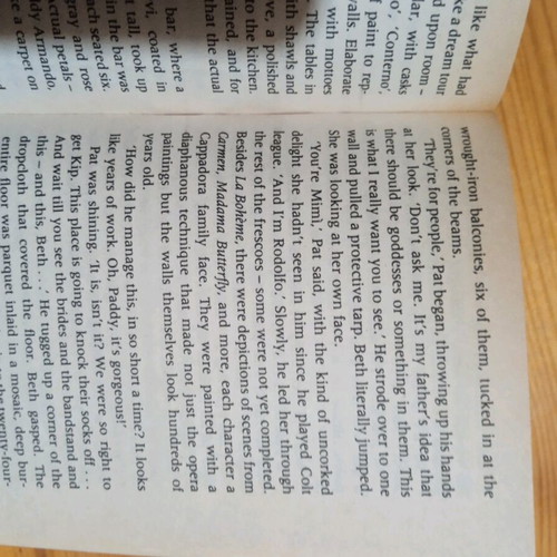 The Deep End of the Ocean book used, in English