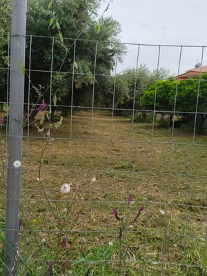 Οικόπεδο 1.290 τμ οικοδομήσιμο στα Ρογίτικα, Αχαΐα