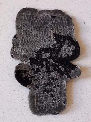 Iron-on patch used with movable sequins
