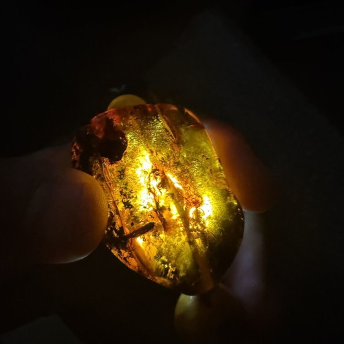 Baltic Amber Necklace used, honey butterscotch and cognac colors