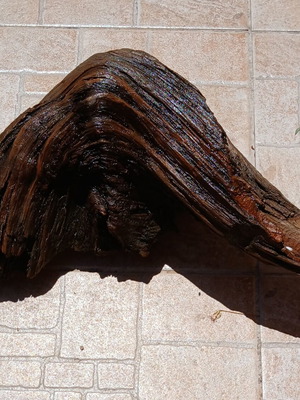 Aquarium wood decorative, used