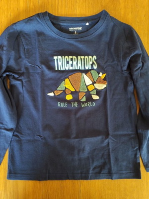 Orchestra long-sleeve shirt used for boys 7-8 years 122-128 cm blue multicolor