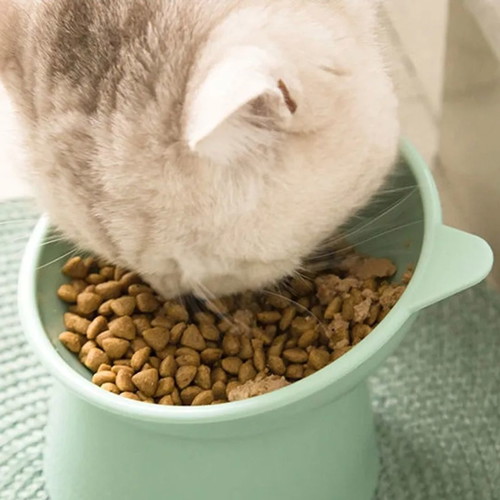 Pet food bowl for dog or cat new, made of PP plastic