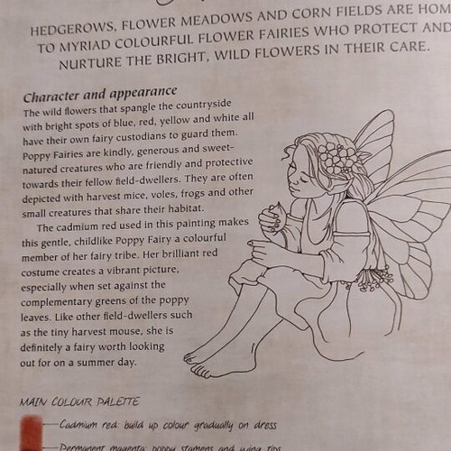 The Fairy Artist's Figure Drawing Bible hardcover spiral-bound like new