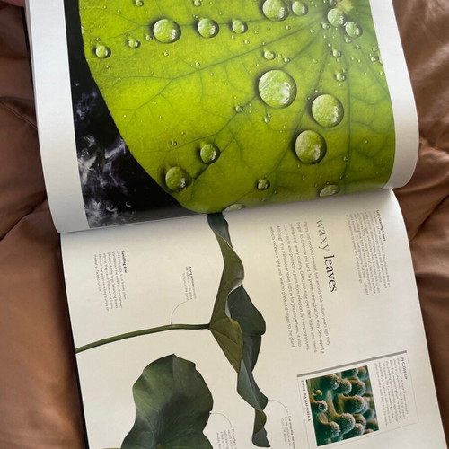 The Science of Plants book new, coffee table, English