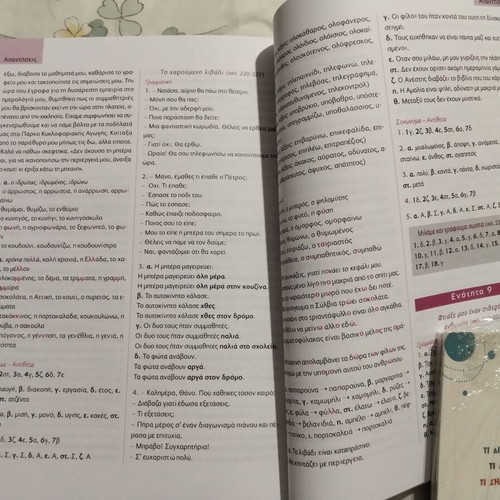 Language Book Grade 3 used like new (2012)