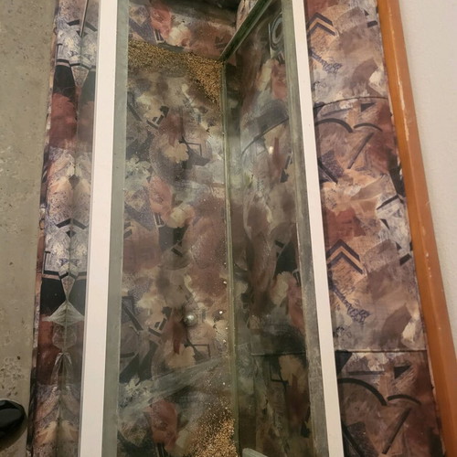 Aquarium used 270 liters with dimensions 124x46x46