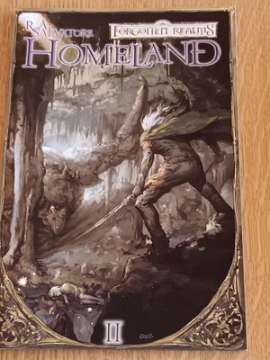Forgotten Realms Homeland #2 comic like new, English
