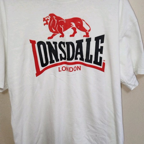 Gildan T-shirt large white used