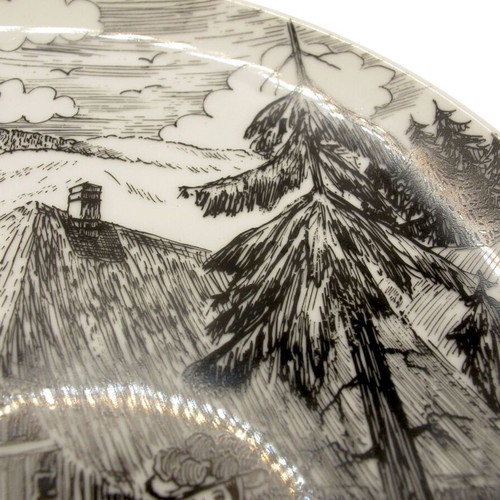 Vintage decorative Black Forest porcelain plate like new