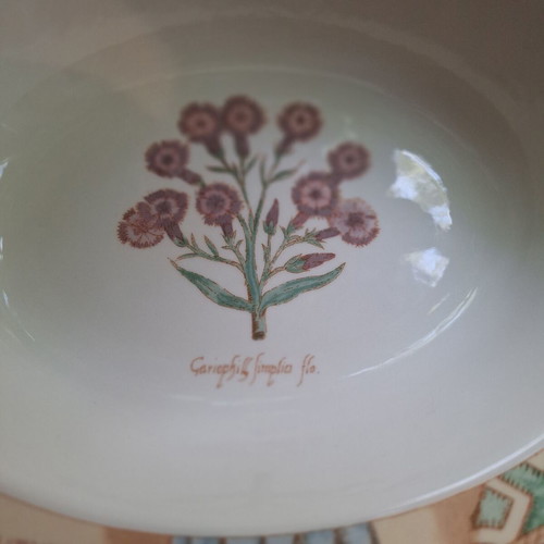 Wedgwood Home Garden Maze porcelain salad bowls set of 2, like new