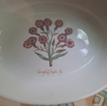 Σετ 2 πορσελάνινα σαλατιέρες Wedgwood Home Garden Maze, σαν καινούργιες