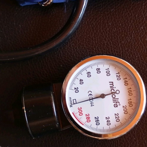 Microlife blood pressure monitor used, needs rubber replacement