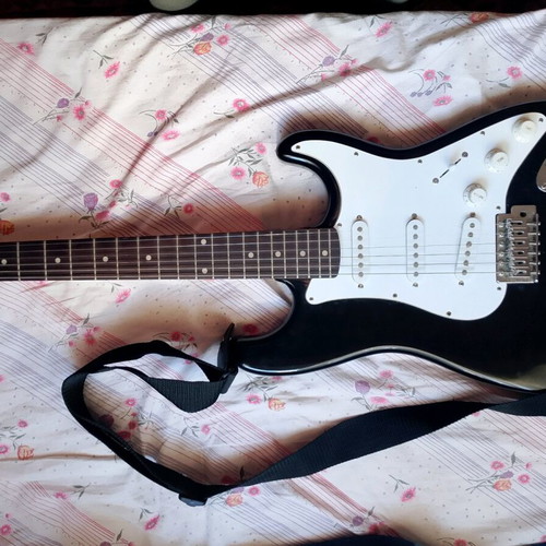 Washburn Pro handmade guitar like new