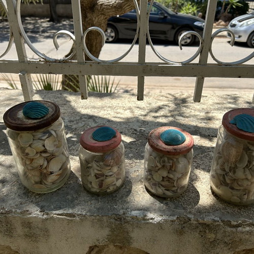 Seashells like new