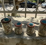Seashells like new