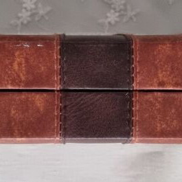 BACKBOARD IN A LEATHER CASE
