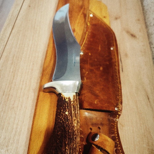 Massive hunting knife new from collection with elk horn handle and calf leather sheath