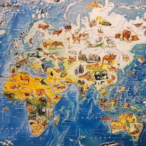 The World of Wild Animals Educational Poster like new, wooden frame