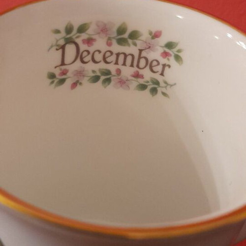 December Crown Trent porcelain mug like new
