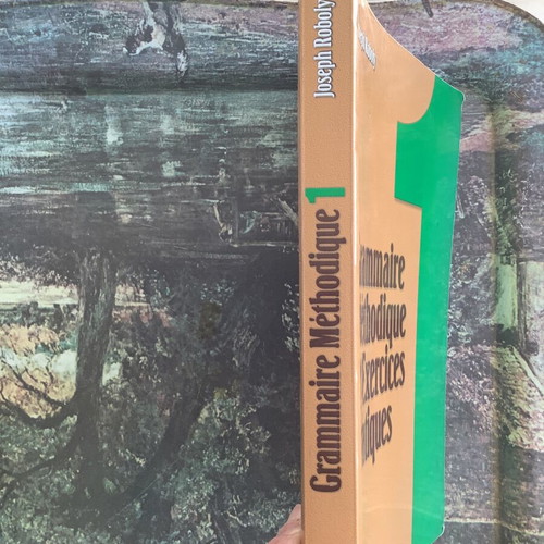 Roboly French Grammar Book like new for B1 and B2 levels