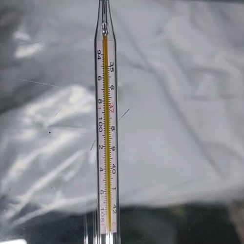 Classic thermometers pack of 12, new