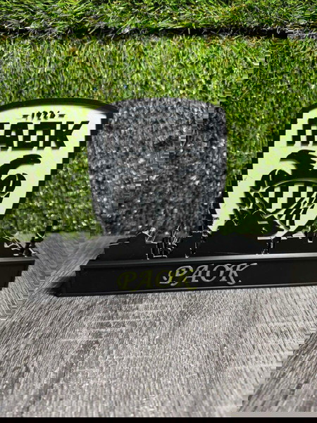 3D Printed Διακοσμητικό ΠΑΟΚ – 20cm | Μοναδικό Συλλεκτικό Κομμάτι!