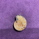 Ammonite pendant new