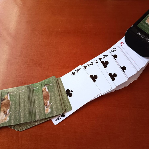 Glen Appin of Scotland Highland Cow Playing Cards brand new